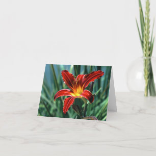 Red Lily Note Kaart