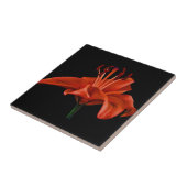 Red Lily op zwart Tegeltje (Zijkant)