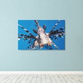 Red Lionfish 2 Canvas Afdruk (Insitu (Houten vloer))