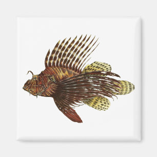 Red Lionfish Print Magneet