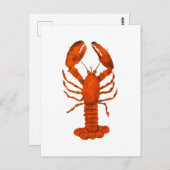 Red Lobster Briefkaart (Voorkant / Achterkant)