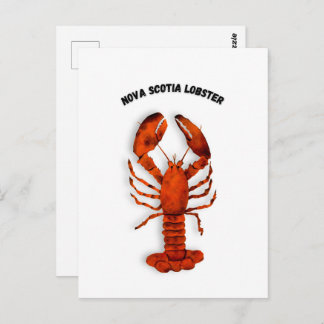 Red Lobster Postcard Briefkaart