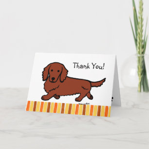 Red Long Haired Dachshund Merci
