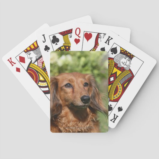 Red Long-haring Miniature Dachshund Pokerkaarten (Achterkant)