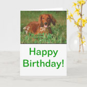 Red Long Hazard Dachshund Kaart (Gele Bloem)