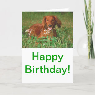 Red Long Hazard Dachshund Kaart