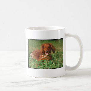 Red Long Hazard Dachshund Koffiemok