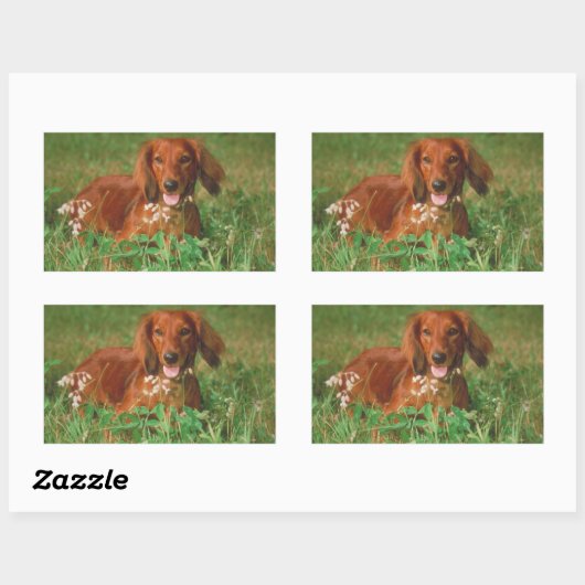 Red Long Hazard Dachshund Rechthoekige Sticker (Vel)