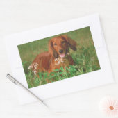 Red Long Hazard Dachshund Rechthoekige Sticker (Envelop)