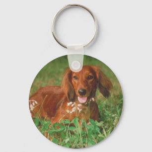 Red Long Hazard Dachshund Sleutelhanger