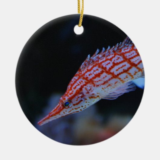 Red Longnose Hawkfish Keramisch Ornament (Voorkant)