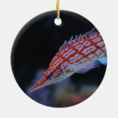 Red Longnose Hawkfish Keramisch Ornament (Achterkant)