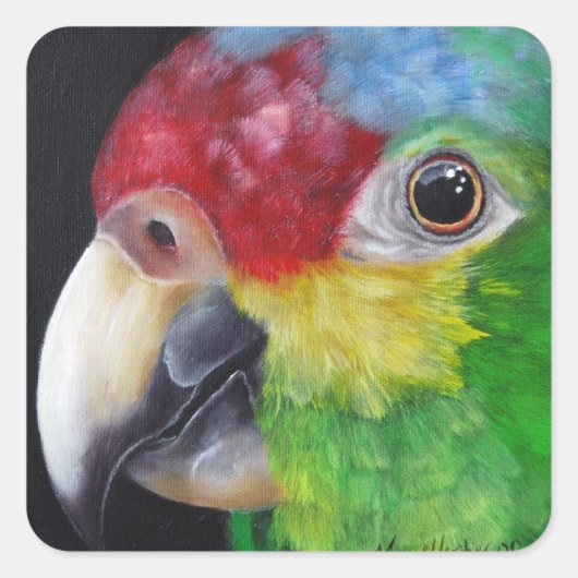 Red Lored Amazon Parrot Sticker (Voorkant)