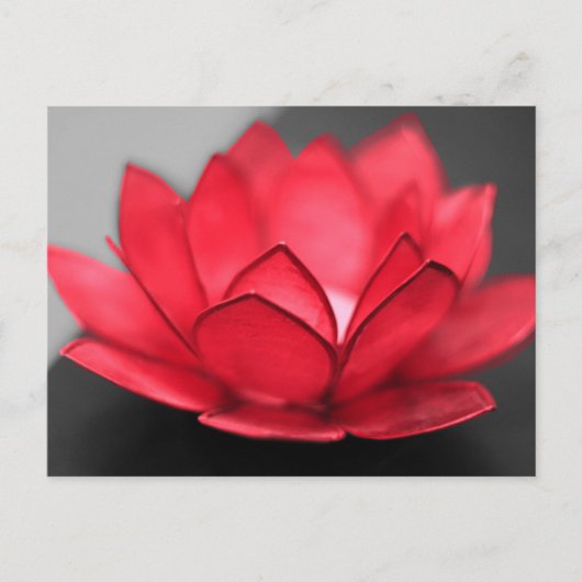 Red Lotus Briefkaart (Voorkant)