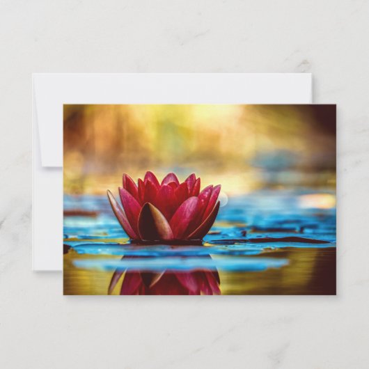 Red Lotus Water Lily Flower Bedankkaart (Voorkant)