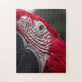 Red Macaw - HD Photo Puzzle Legpuzzel