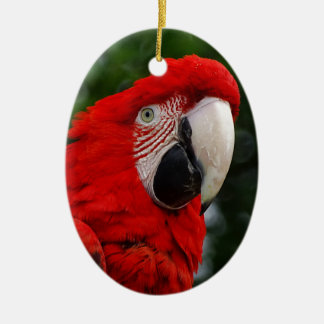 Red Macaw Keramisch Ornament
