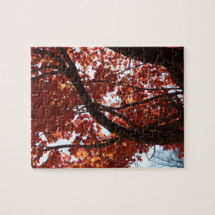 Red Maple Branches Autumn Colors Legpuzzel
