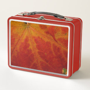 Red Maple Leaf Abstracte Autumn Natuur Fotografie
