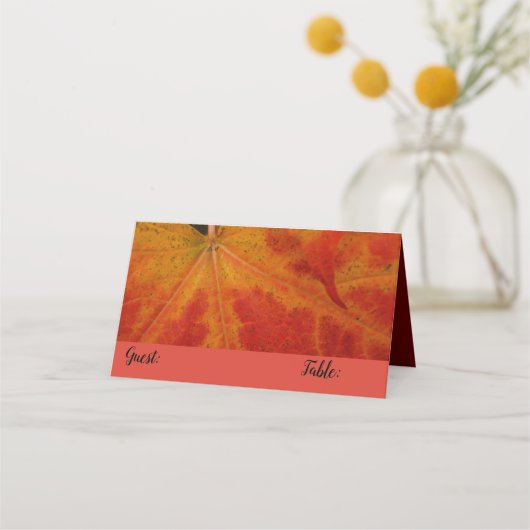 Red Maple Leaf Abstracte Autumn Natuur Fotografie (Voorkant)