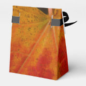 Red Maple Leaf Abstracte Autumn Natuur Fotografie Bedankdoosjes (Achterkant)