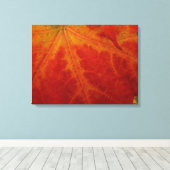 Red Maple Leaf Abstracte Autumn Natuur Fotografie Canvas Afdruk (Insitu (Houten vloer))