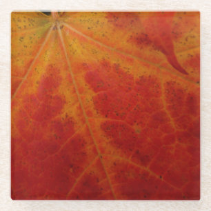 Red Maple Leaf Abstracte Autumn Natuur Fotografie Glazen Onderzetter
