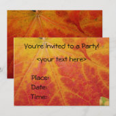 Red Maple Leaf Abstracte Autumn Natuur Fotografie Kaart (Voorkant / Achterkant)