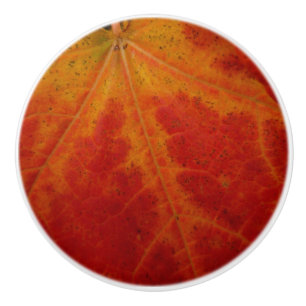 Red Maple Leaf Abstracte Autumn Natuur Fotografie Keramische Knop