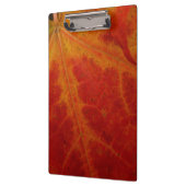 Red Maple Leaf Abstracte Autumn Natuur Fotografie Klembord (Links)