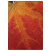 Red Maple Leaf Abstracte Autumn Natuur Fotografie Klembord (Achterkant)