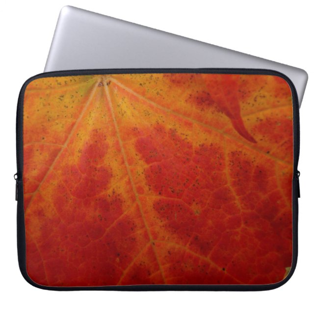 Red Maple Leaf Abstracte Autumn Natuur Fotografie Laptop Sleeve (Voorkant)