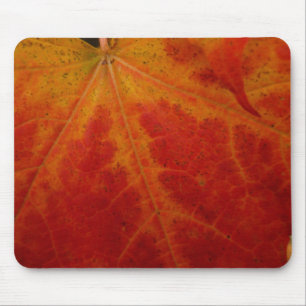 Red Maple Leaf Abstracte Autumn Natuur Fotografie Muismat