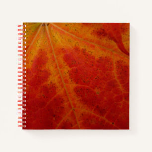 Red Maple Leaf Abstracte Autumn Natuur Fotografie Notitieboek
