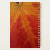 Red Maple Leaf Abstracte Autumn Natuur Fotografie Planner (Achterkant)