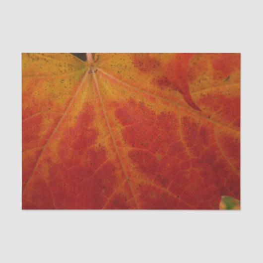 Red Maple Leaf Abstracte Autumn Natuur Fotografie Tissuepapier (Voorkant)