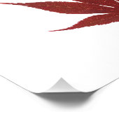 Red Maple Leaf Foto Afdruk (Hoek)