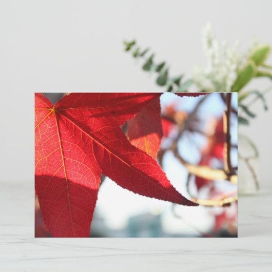 Red Maple Leaf Invitation Kaart (Staand voorkant)