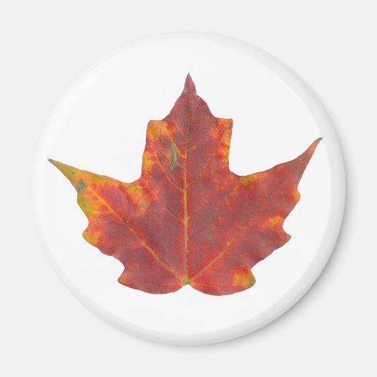Red Maple Leaf Magneet (Voorkant)