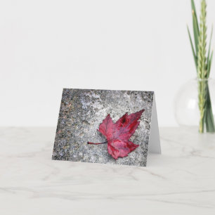 Red Maple Leaf Note Card Kaart