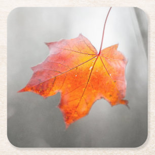 Red Maple Leaf - Velvet Autumn Vierkante Kartonnen Onderzetter