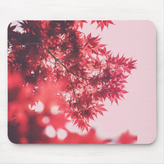 Red Maple Leaves on Pink Muismat (Voorkant)