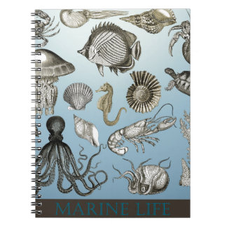 Red Marine Life! Notitieboek