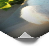 Red Merle 2 Australian Shepherd Poster (Coin)