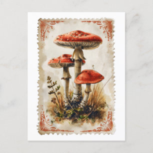 Red Mushroom Briefkaart