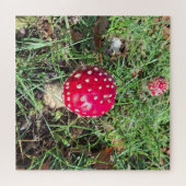 Red mushroom legpuzzel (Horizontaal)