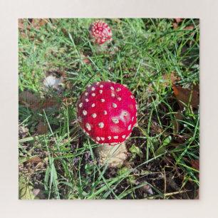 Red mushroom legpuzzel