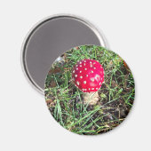 Red mushroom magneet (Voorkant / Achterkant)