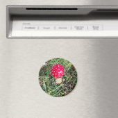 Red mushroom magneet (Insitu (Vaatwasser))