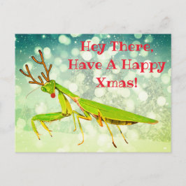 Red Nosed Praying Mantis Weird Briefkaart